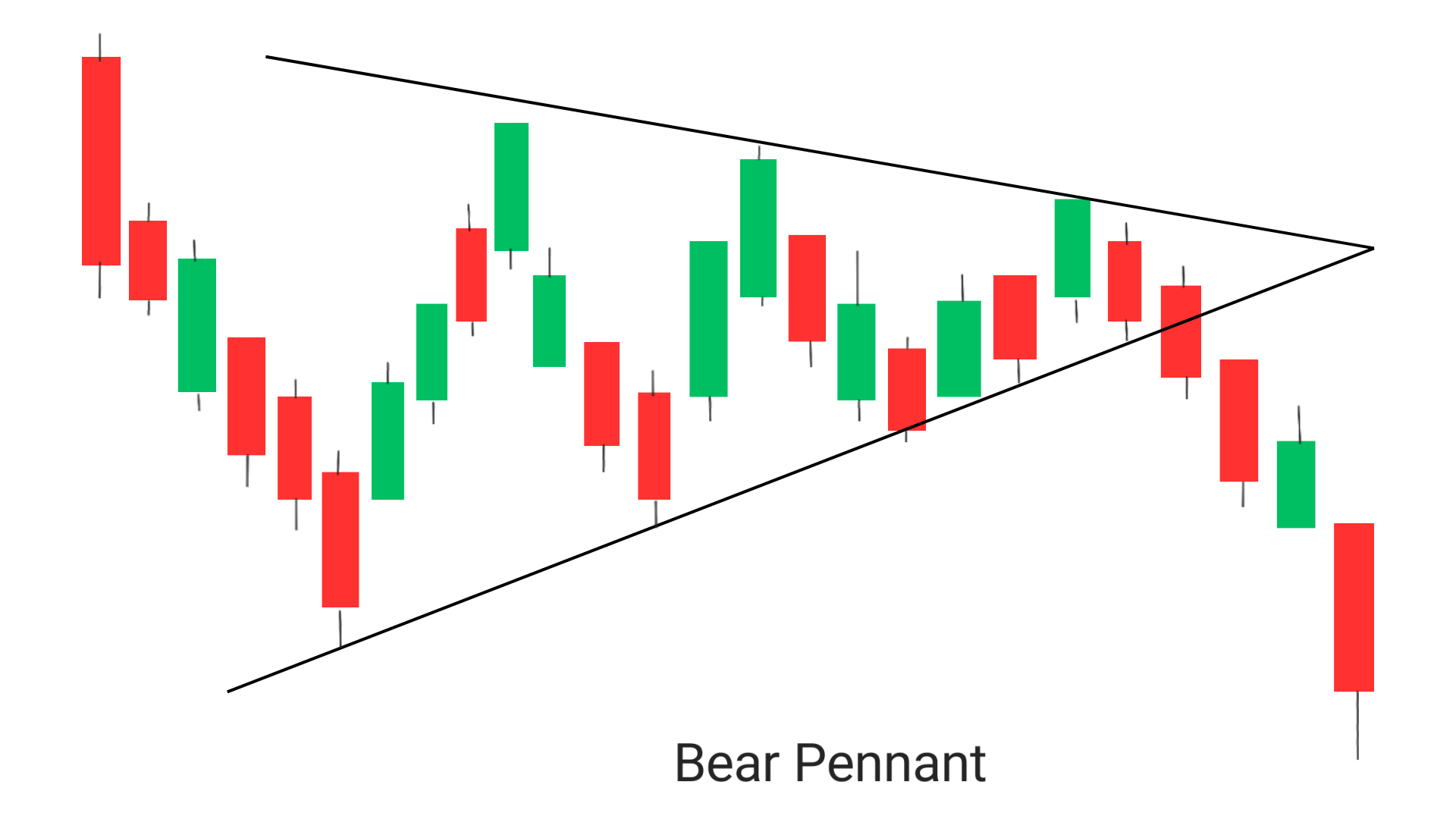 bear pennant