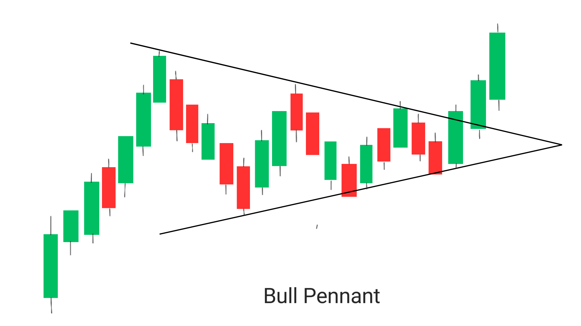 bull pennant